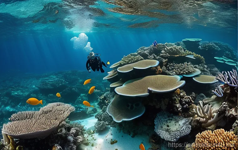 몰타 다이빙 명소 - **Prompt 1: Serene Underwater Exploration in Crystal Clear Maltese Waters**
"A male or female di...